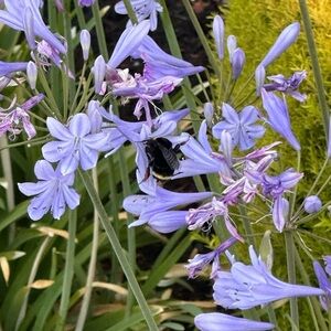 Meet your Posher, Priyanka